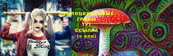 бошки Кинешма