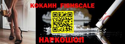гидра Ставрополь