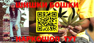 гидра Ставрополь