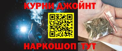 гидра Ставрополь