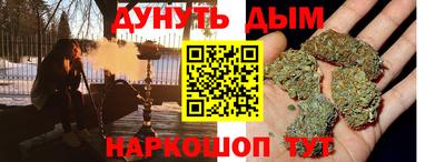 гидра Ставрополь