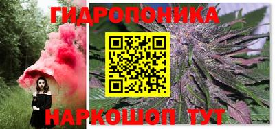 гидра Ставрополь
