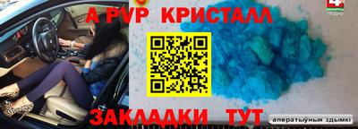 гидра Ставрополь