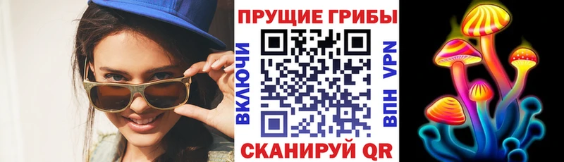 Псилоцибиновые грибы прущие грибы  дарнет шоп  Омск 