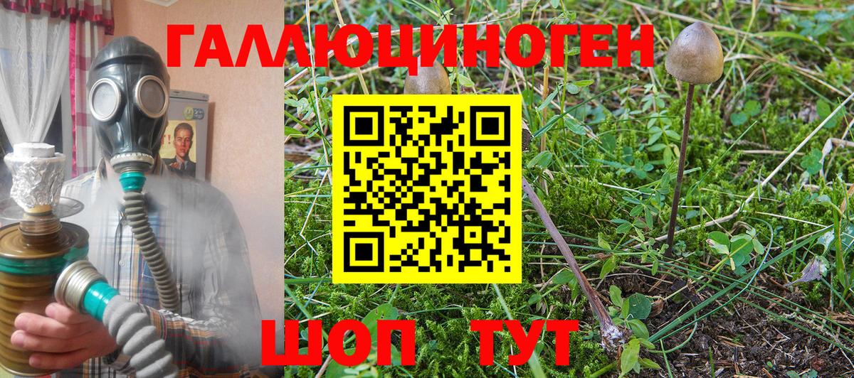 Псилоцибиновые грибы Magic Shrooms Россия