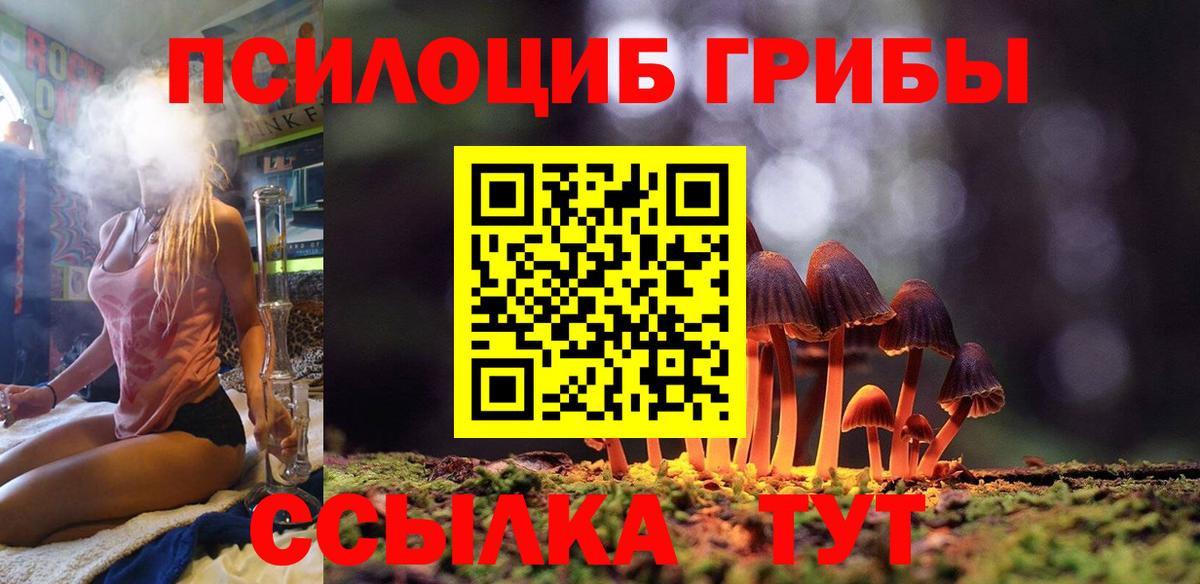 Россия  Псилоцибиновые грибы мицелий  Вход с VPN 